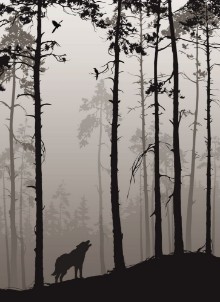 Picture of Silhouette of a pine forest with wolves and birds brown colors vector illustration