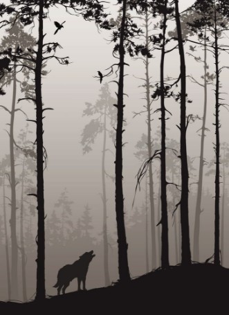 Picture of Silhouette of a pine forest with wolves and birds brown colors vector illustration