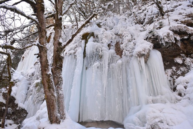 Picture of Schleierflle