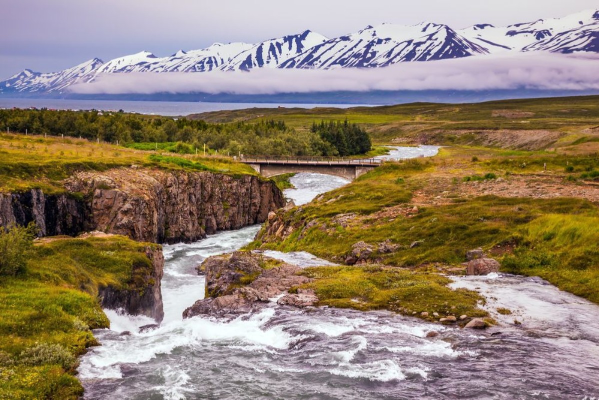Picture of The creek flows among the flat tundra