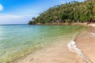 Immagine di Paradise Palms II