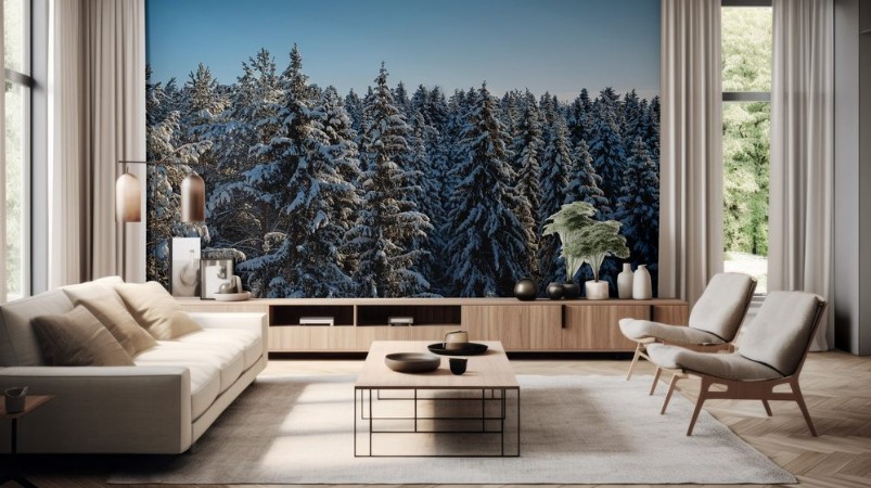 Picture of Russian winter forest and sky beautiful landscape