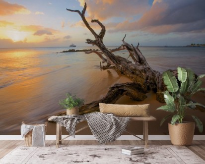 Bild på Driftwood beach