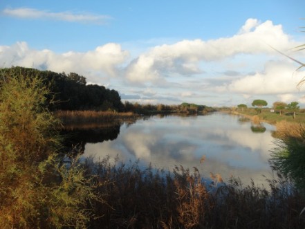 Picture of Scenario romantico