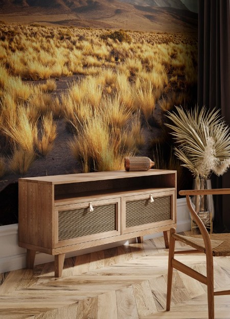 Picture of Landscape with the sajama volcano in the background  plateau National Park bolivia