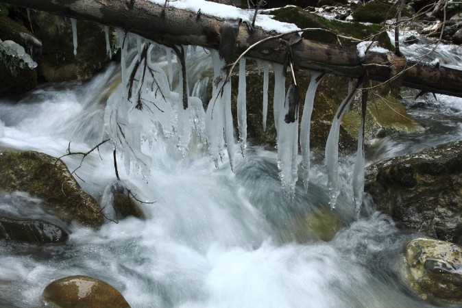 Picture of Kunstwerke der Natur