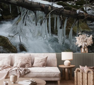 Attēls Kunstwerke der Natur