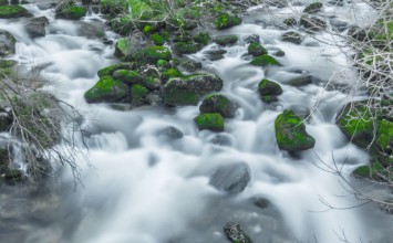 Afbeeldingen van Valle de Asn - Cantabria
