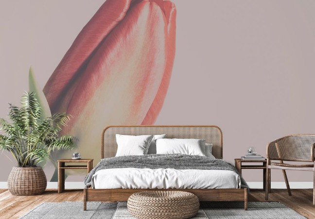 Picture of Red and yellow tulip with vintage filter effect