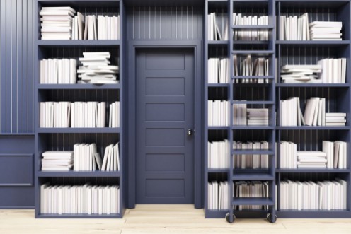 Picture of Home library with a ladder black