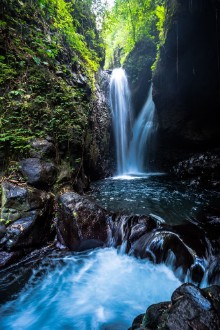 Afbeeldingen van Crawling