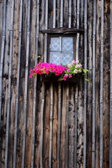 Image de Ukwiecone okno