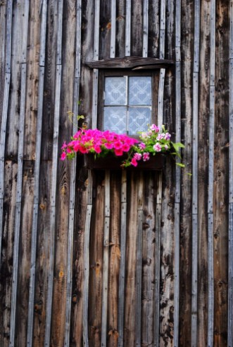 Bild von Ukwiecone okno