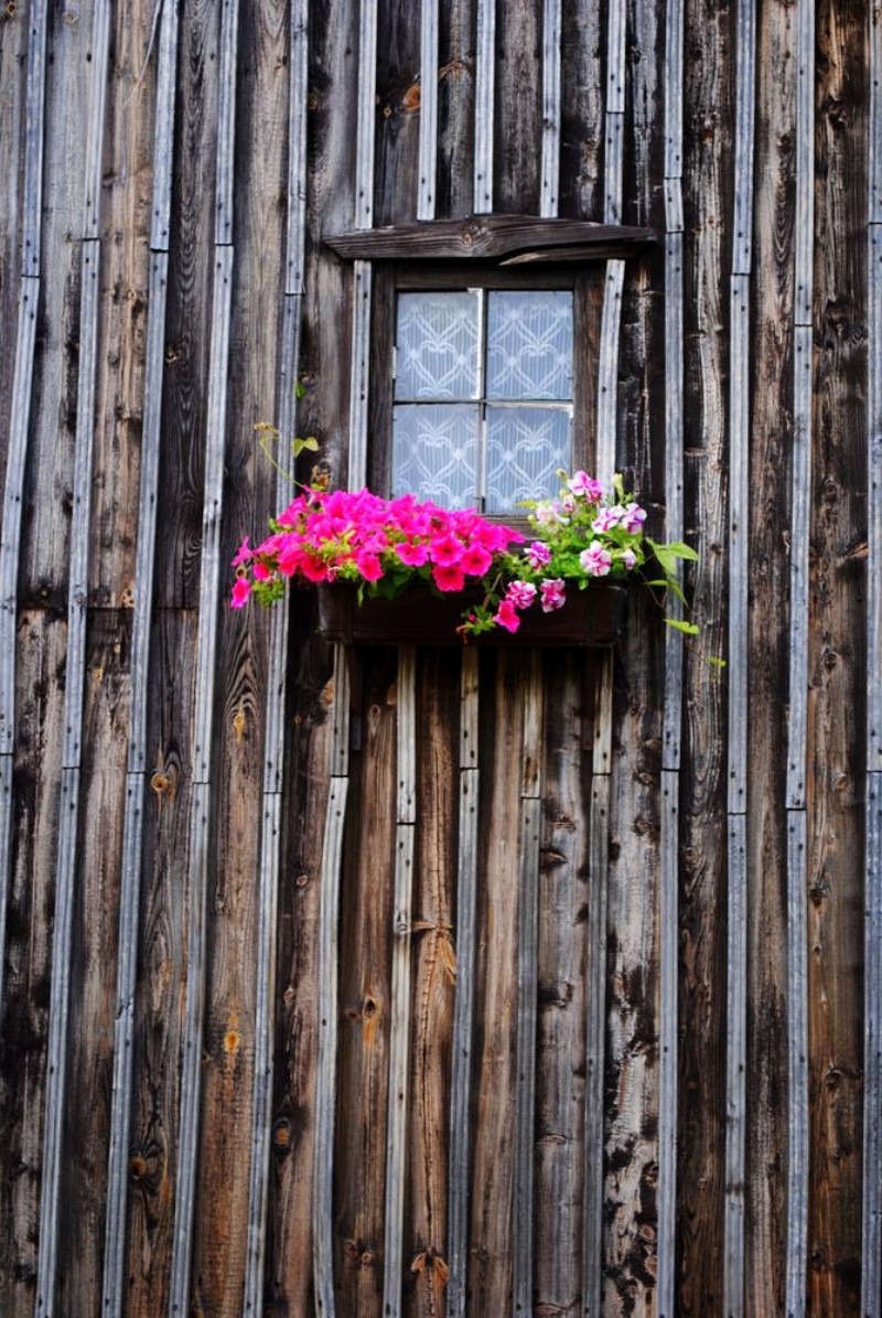 Picture of Ukwiecone okno