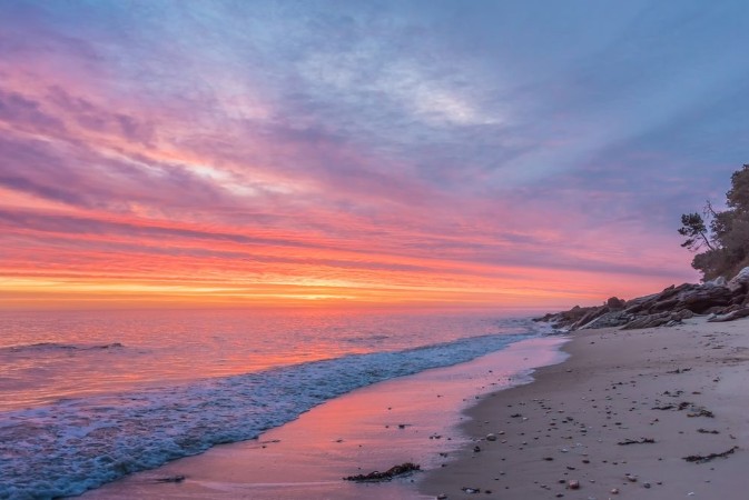 Picture of Lever de fvrier 2017