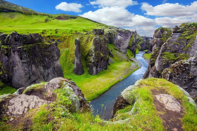 Imagem de Green Tundra in summer