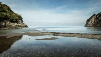 Beach paveikslėlis