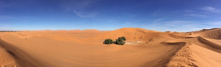 Slika Sahara Panorama