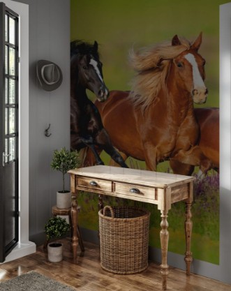 Afbeeldingen van Horses run gallop in flower meadow 