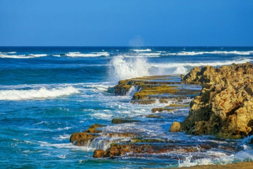 Afbeeldingen van Tropical Beach