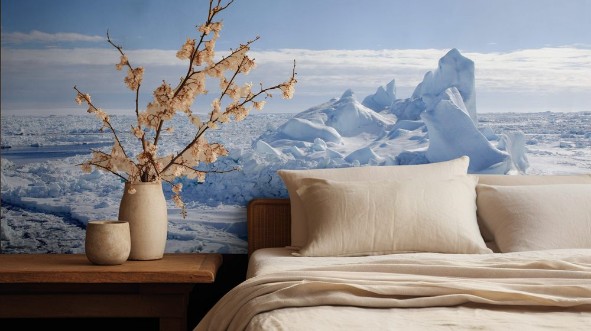 Picture of Banquise  Antarctique