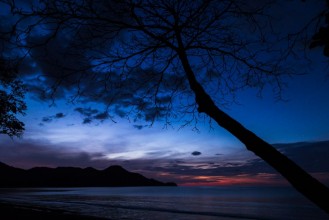 Pilt Twilight over Playa Matapalo
