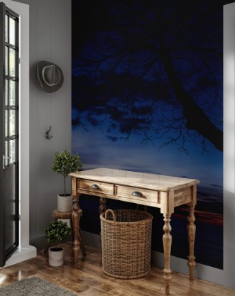 Bild på Twilight over Playa Matapalo