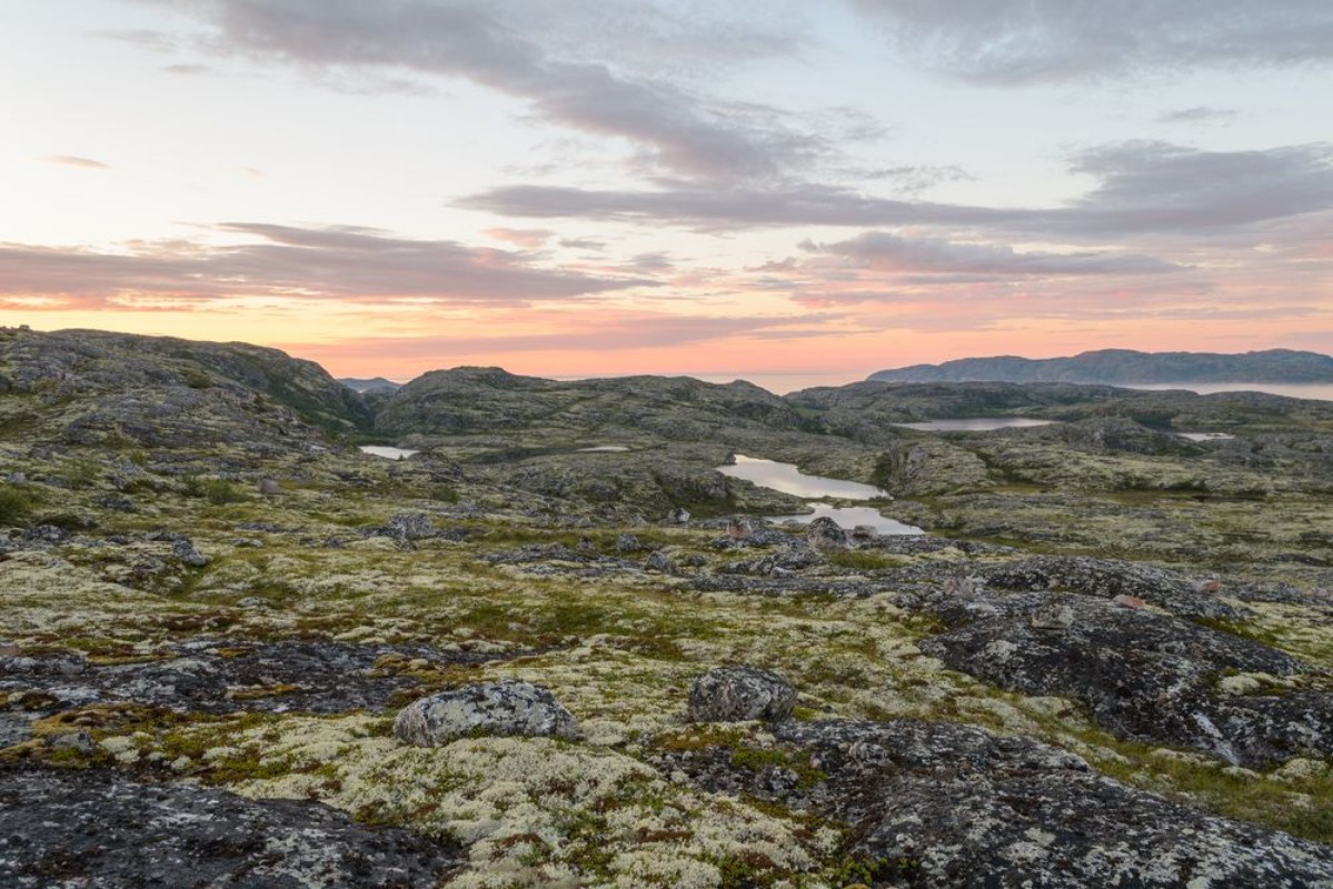 Picture of Sunset on the tundra in the summer