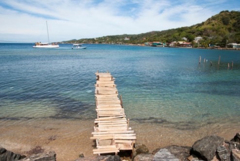 Picture of Roatan Island bugt