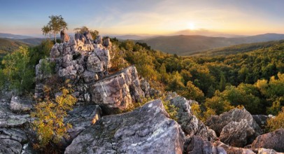 Image de Sunset in forest with rocky mountain hill
