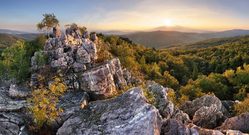 Afbeeldingen van Sunset in forest with rocky mountain hill