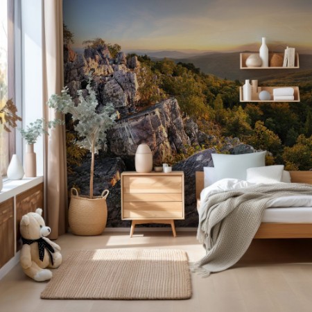 Picture of Sunset in forest with rocky mountain hill