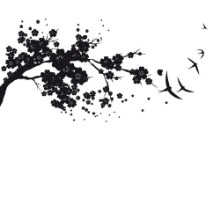 Image de Silhouette sombre d'une branche
