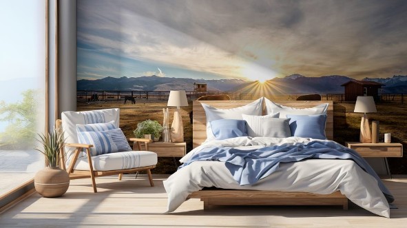 Picture of Cow on a field at sunset