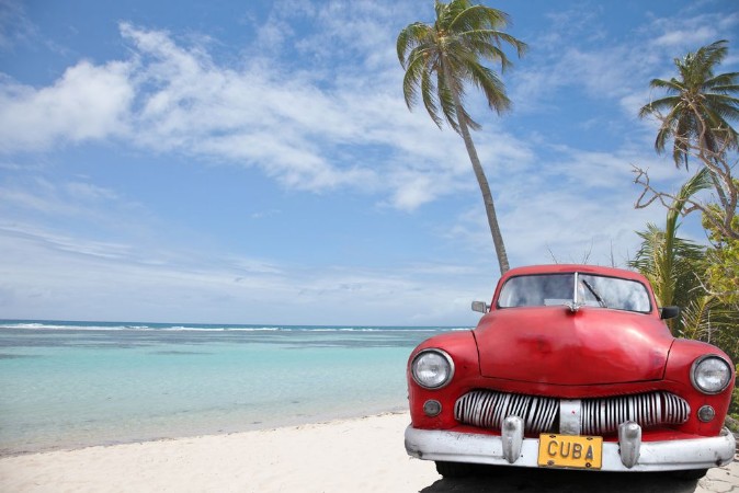 Picture of Deux cocotiers pour une cubaine