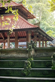 Bild von Monkey temple