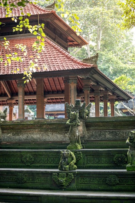 Afbeeldingen van Monkey temple