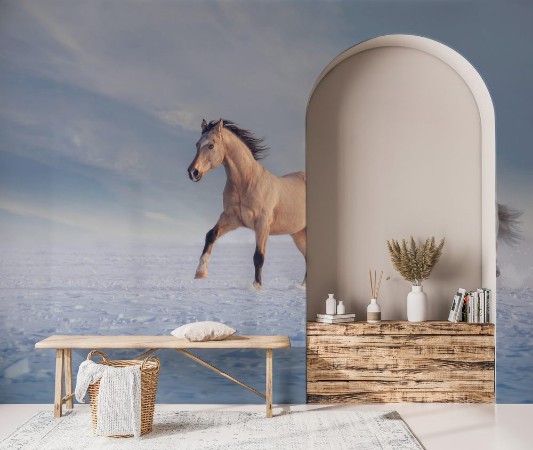 Bild på Buckskin stallion and white stallion run on snow in winter