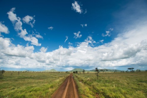 Afbeeldingen van Serengeti Safari Landscape Tanzania Africa