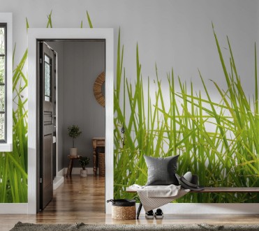 Afbeeldingen van Tall Grass