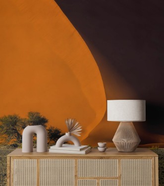 Picture of Røde sanddyner i Namibia