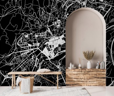 Afbeeldingen van Santiago de Compostela Vector Map