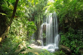 Εικόνα της Waterfall in jungle