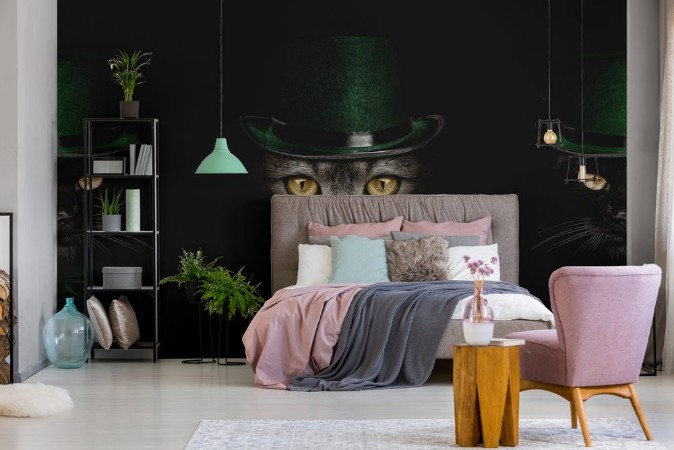 Image de Dark muzzle cat  in green hat and tie butterfly