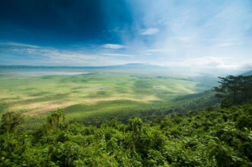 Picture of Ngorongoro Crater Tanzania