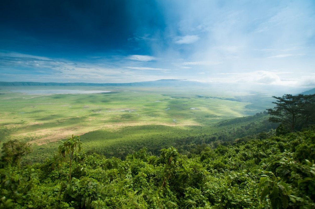 Picture of Ngorongoro Crater Tanzania