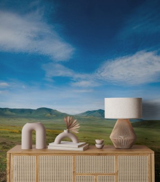 Bild på Ngorongoro crater Tanzania Africa