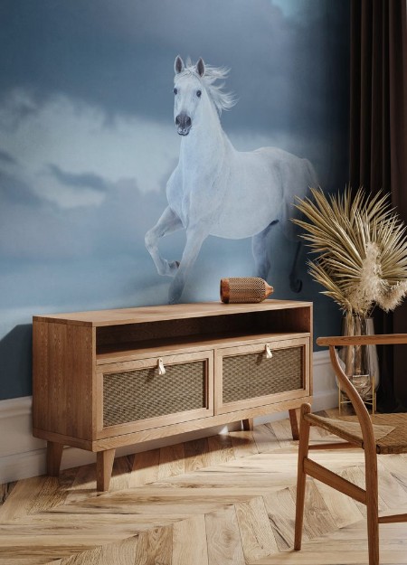 Bild på White horse runs on snow