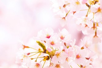 Bild von 138488095