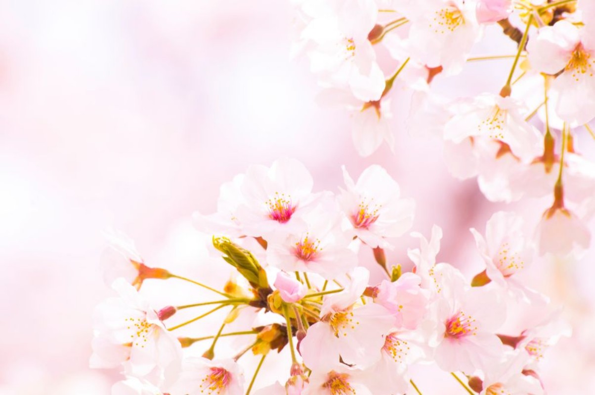 Picture of 138488095